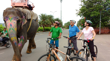 Cycling in Jaipur